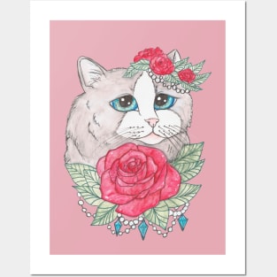 Long Haired Siamese Cat art Posters and Art